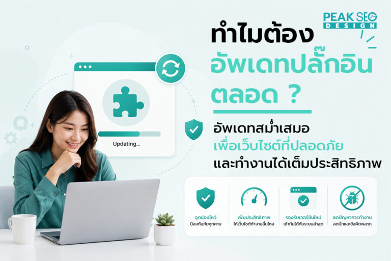 ทำไมต้องอัพเดทปลั๊กอินตลลอด
